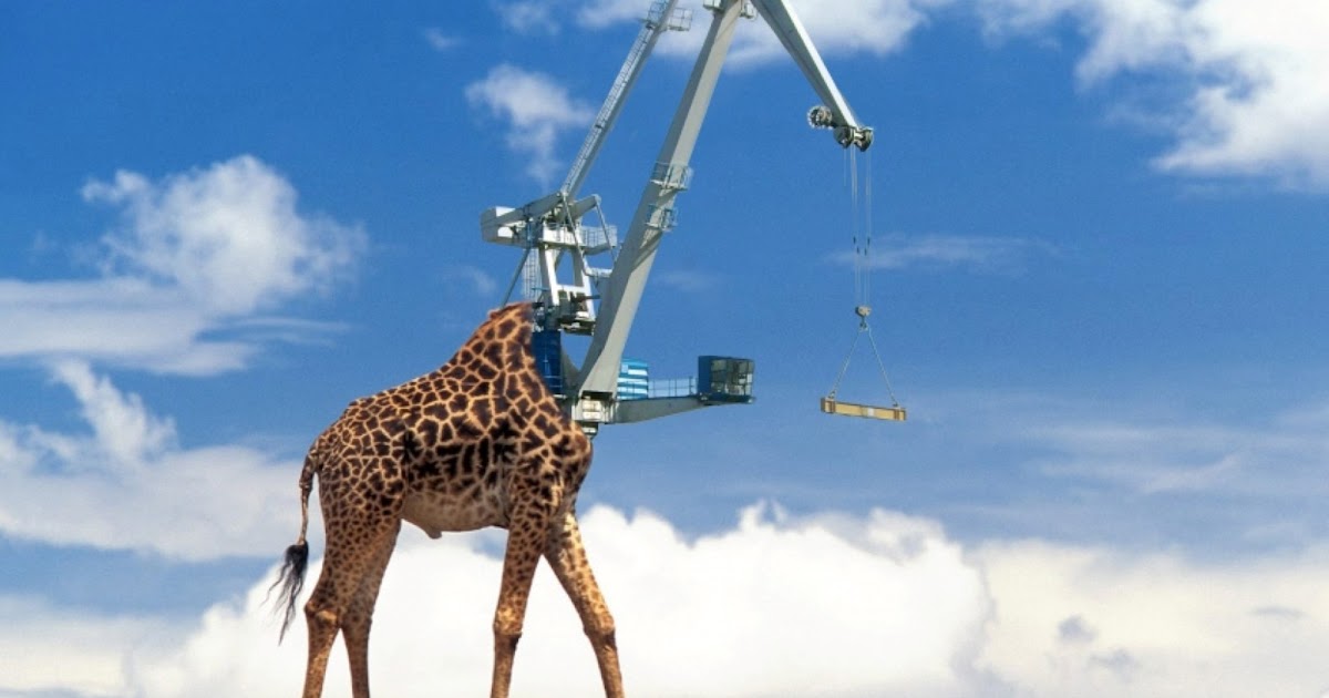 Entree Kibbles The Undisputable Giraffe Crane
