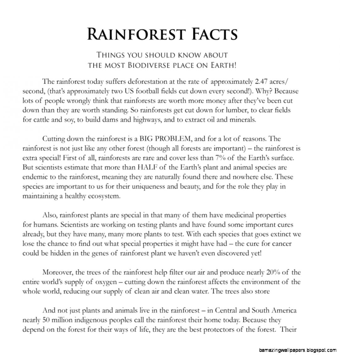 Rainforest Games and Worksheet Activities Rainforest Foundation US Rainforest Games and Worksheet Activities Rainforest Foundation US