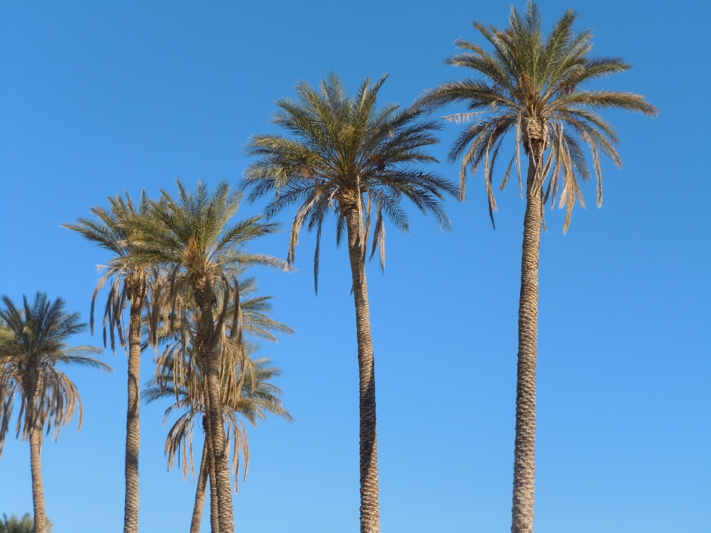 RV Voyageur Now in Yuma....