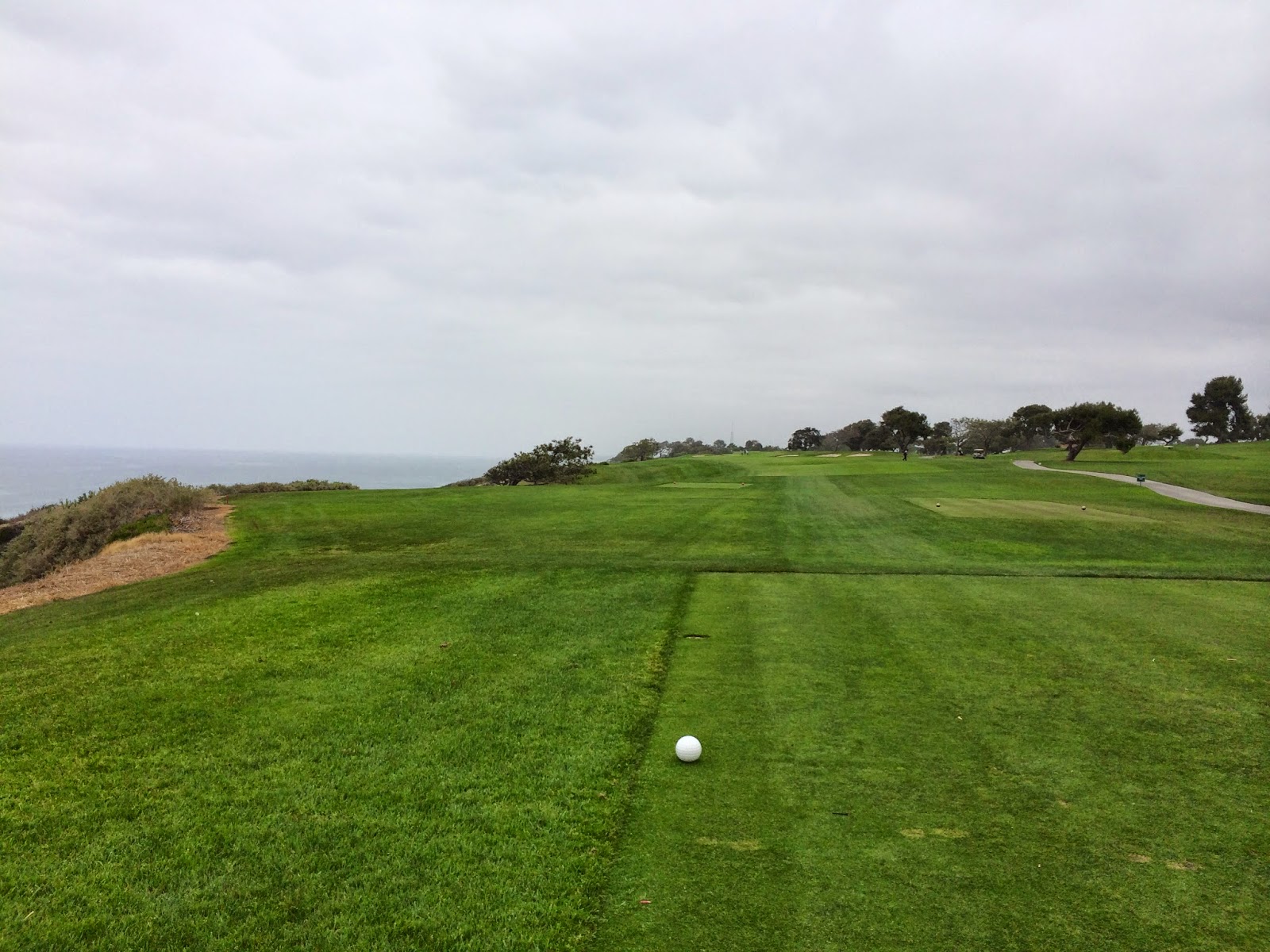 TASTE OF HAWAII TORREY PINES GOLF COURSE LA JOLLA, CALIFORNIA