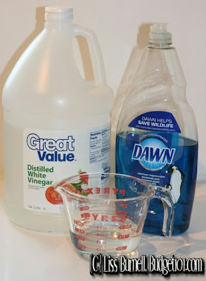 dawn+vinegar DIY Soap Scum Remover and Carpet Stain Remover 9