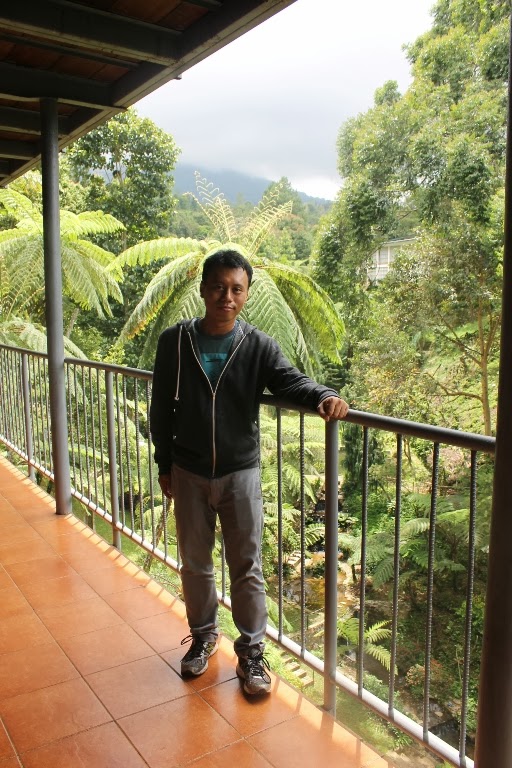 Catatan Si Goiq: Menginap Di The Pinewood Lodge & Organic ...