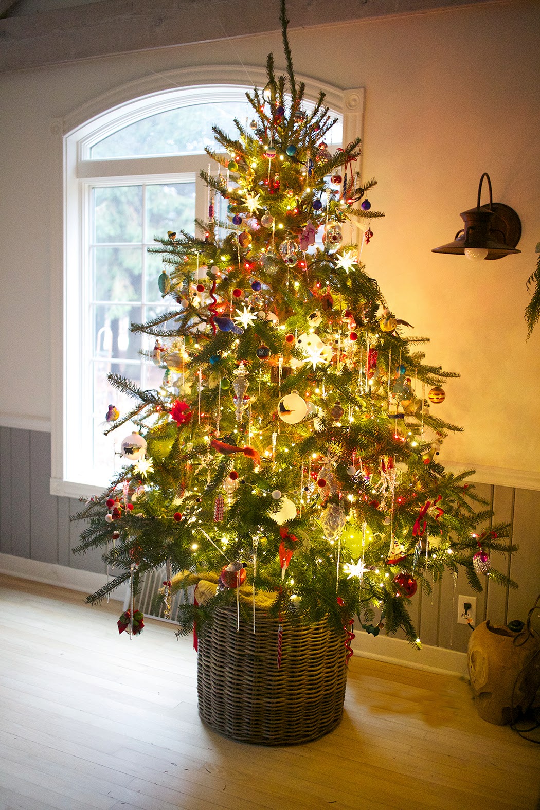 the impatient gardener oh christmas tree oh christmas tree the impatient gardener oh christmas tree oh christmas tree