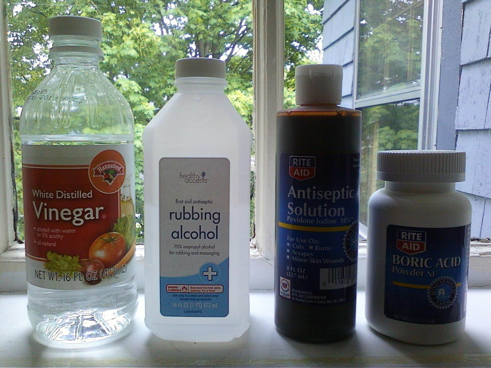 The Teacher's Pets 4 AntiFungal Ingredients Your Pooch's Ears Can't