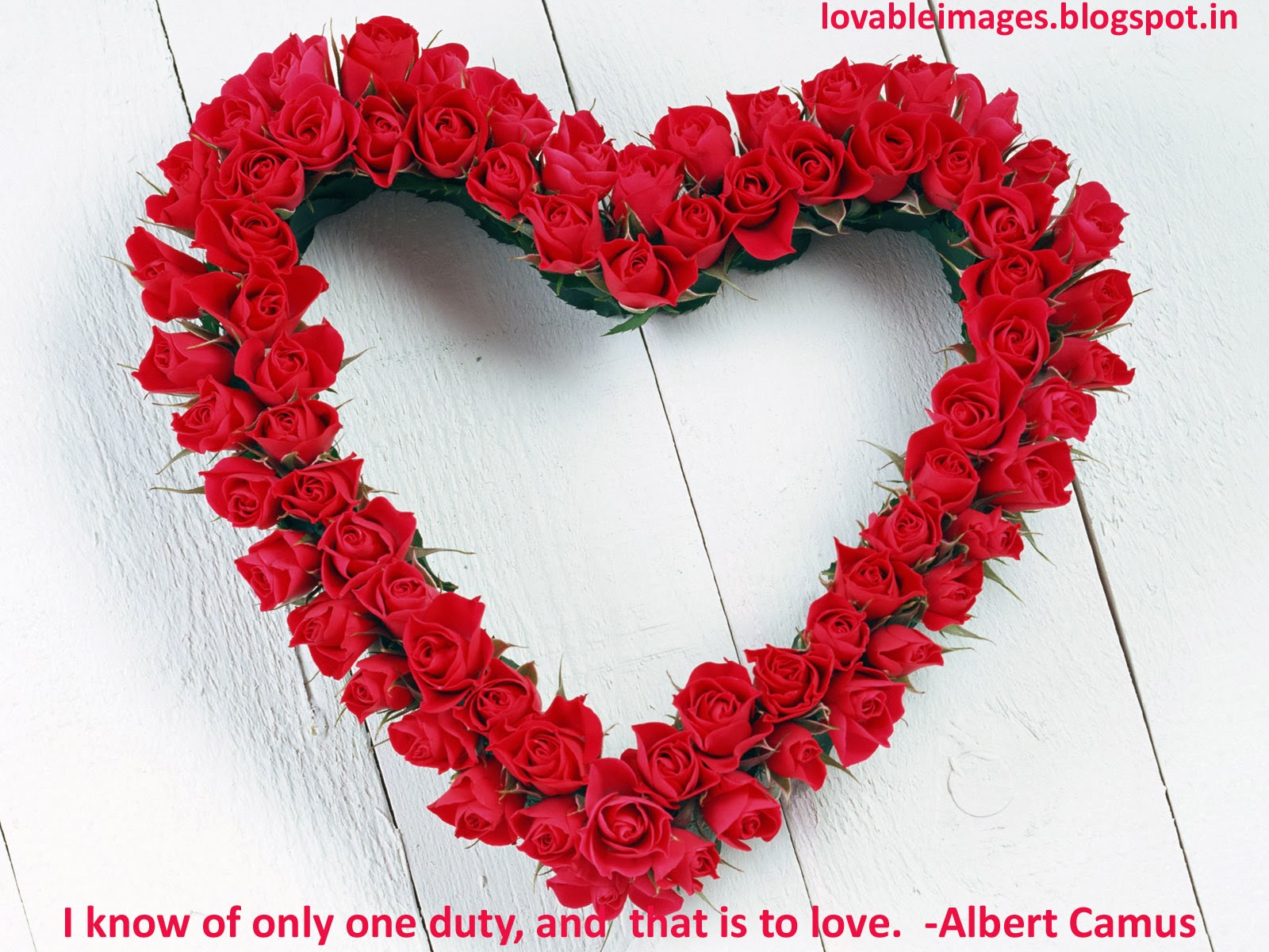 Valentine's Day Quotes With HD Images Free Download | Love Quotes Wallpapers Free ...1600 x 1200