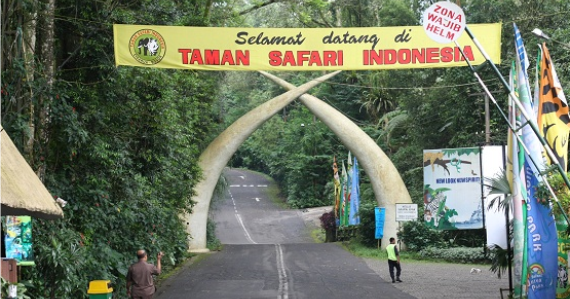 Wisata Taman Safari Indonesia ~ Grassindo Tour