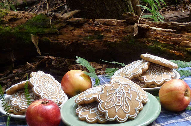 honey-vanilla cookies in a forest with a fallen log