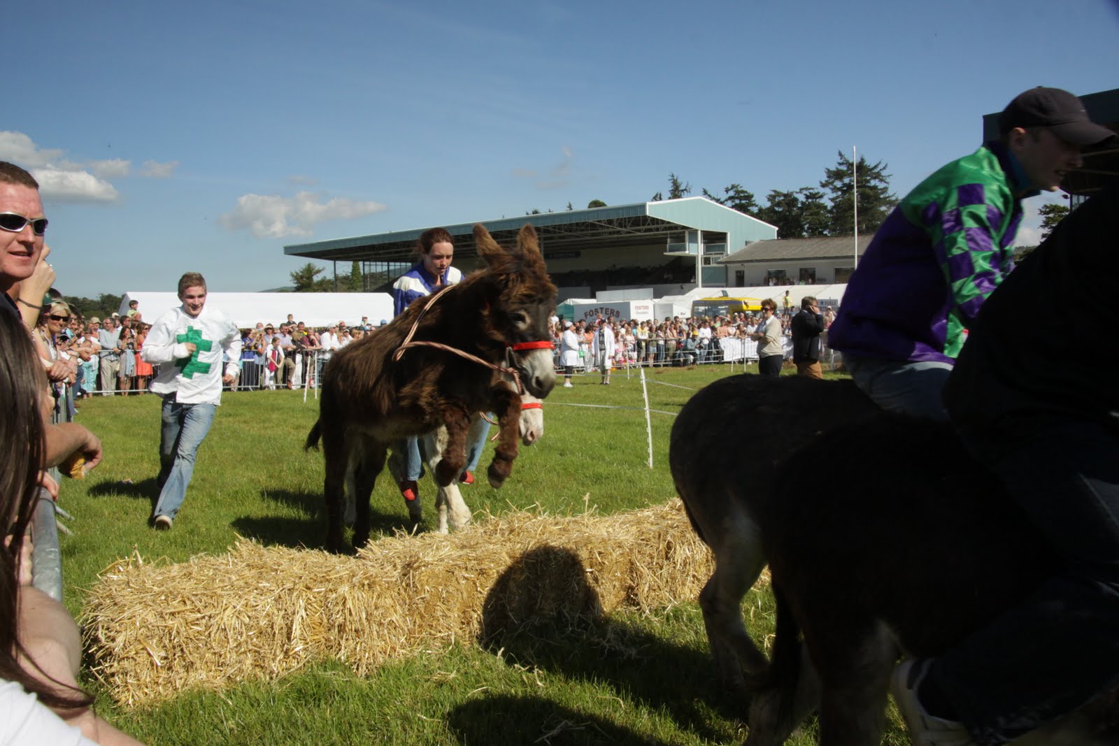 Peach and Thistle Ireland! Donkey Derby!!