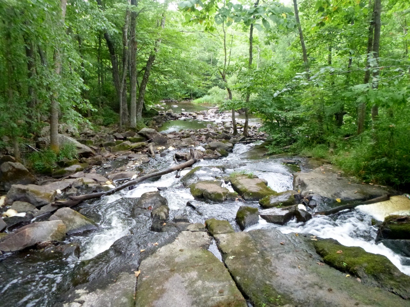 Kayaking Waupaca Area Waters Kayak Trip 41 Little Wolf River from Big