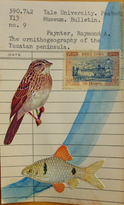 crna gora, Montenegro, postage stamp, library card, sparrow, bird, fish, Dada, Fluxus, mail art, collage