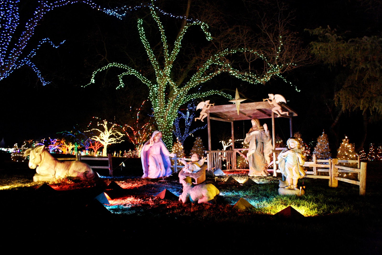 Marie, Marie Trail of Lights