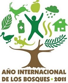 AÑO INTERNACIONAL