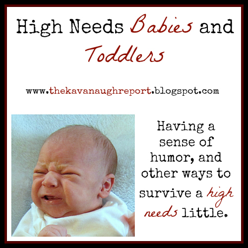 Introducing the High Needs Babies and Toddlers Series