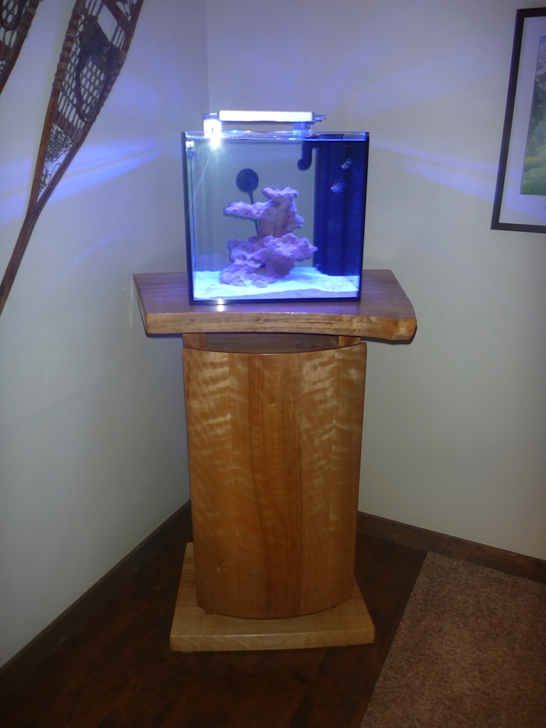 IDVW Design Aquarium
