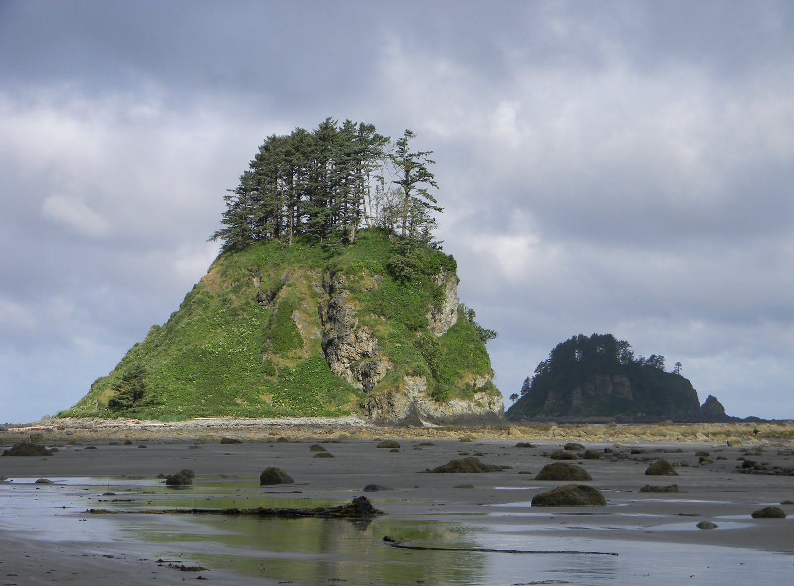 Cape Alava