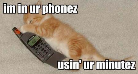 Cat Phone