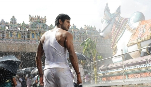 Tamil Tamil