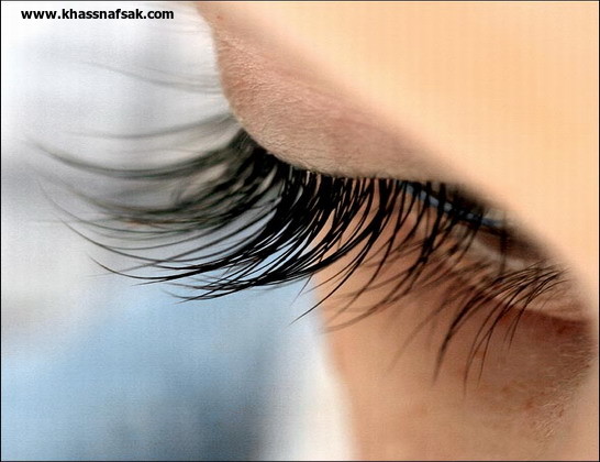 هل تنمو الرموش مرة أخرى خسس نفسك