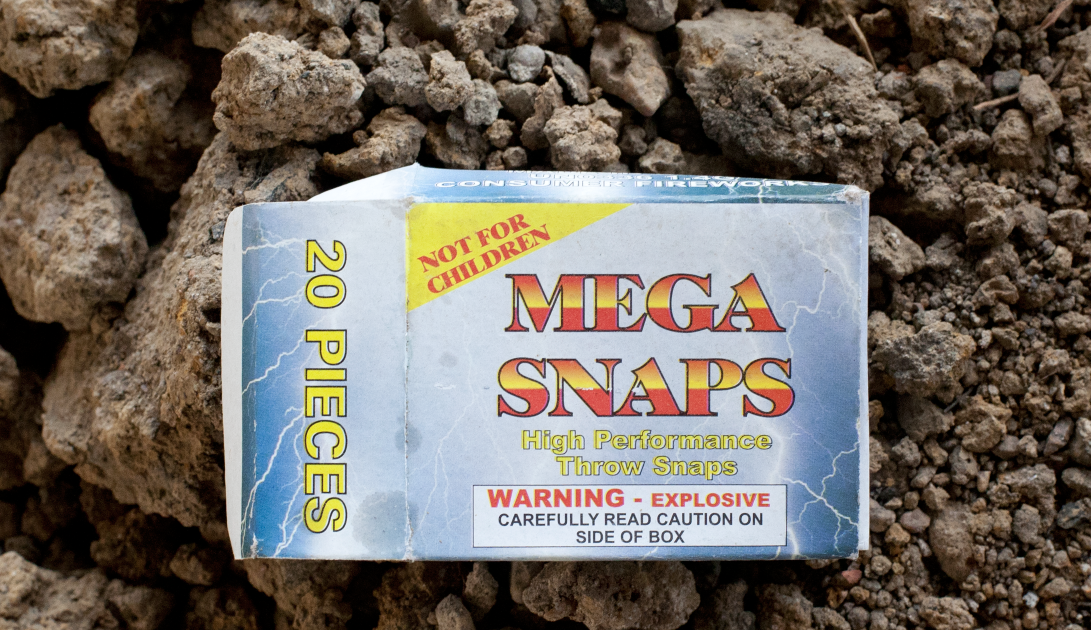 PRETTY SKATEBOARDS THE PRETTY BLOG MEGA SNAPS