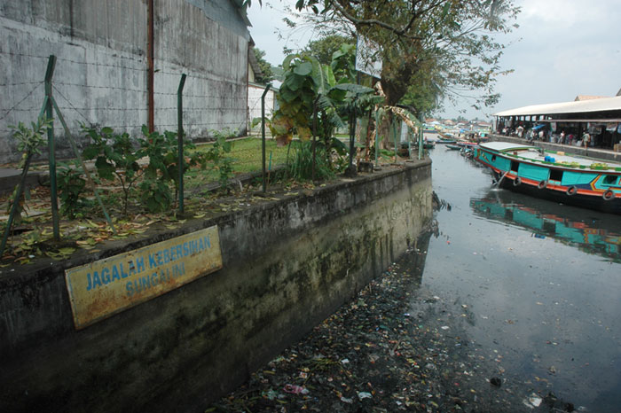 Lingkungan Hidup: Apa itu Lingkungan?