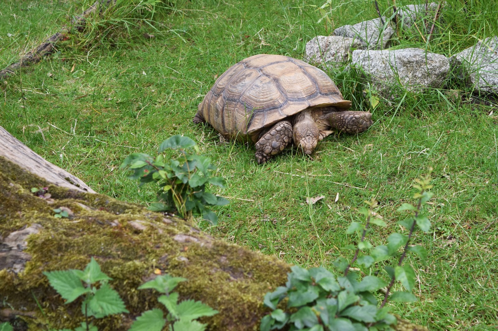 Birmingham Wildlife Conservation Park  GraceBee