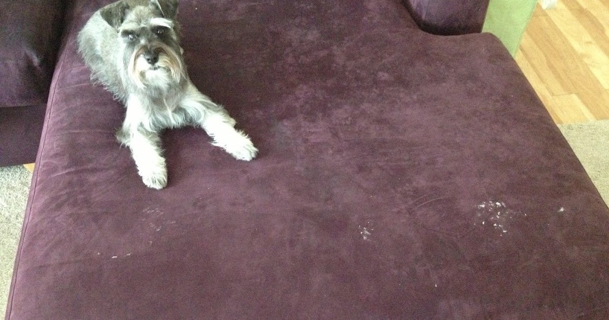 Trivial Tiffairs I had to clean a microfiber couch and I ran out of