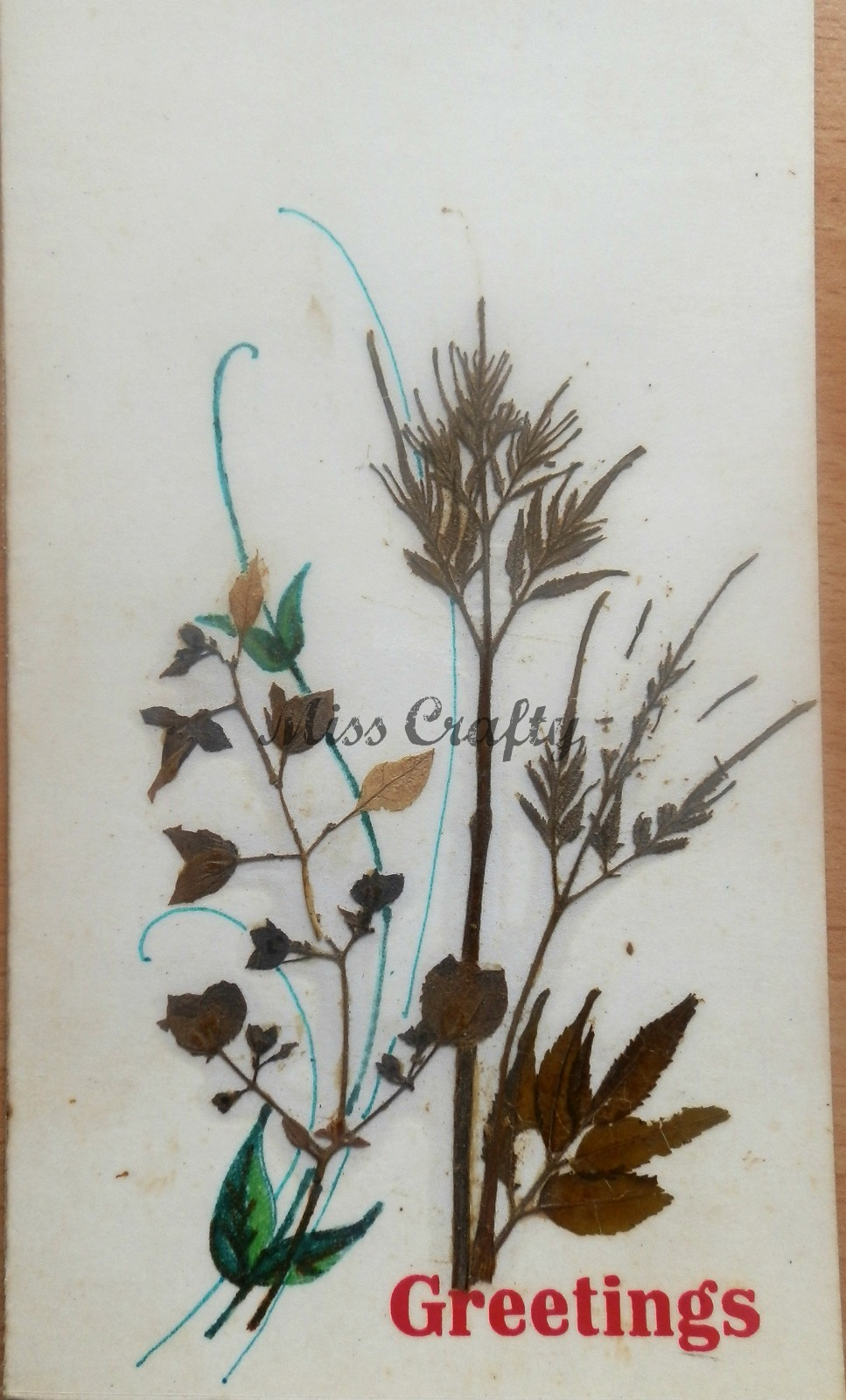 The Craft Gallery Pressed Flowers Greeting Cards Part 3