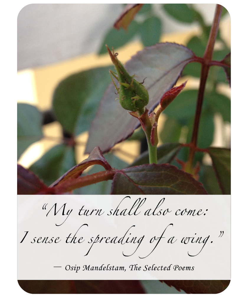 Life with Liya and Zain: *Note to Self*