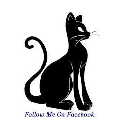 Follow Me On Facebook
