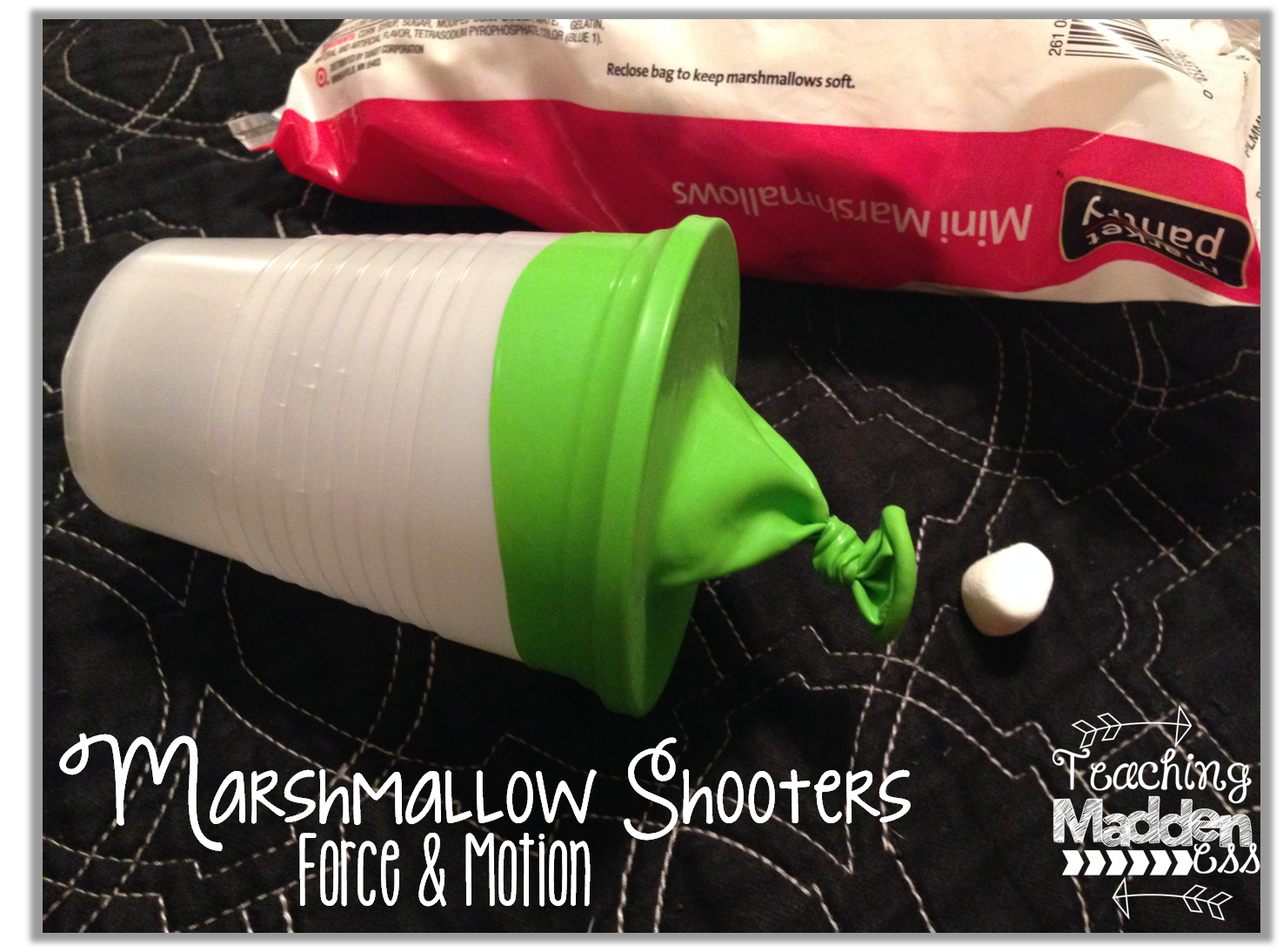 Marshmallow Shooters {Force & Motion} & a Freebie Owlways Be Inspired