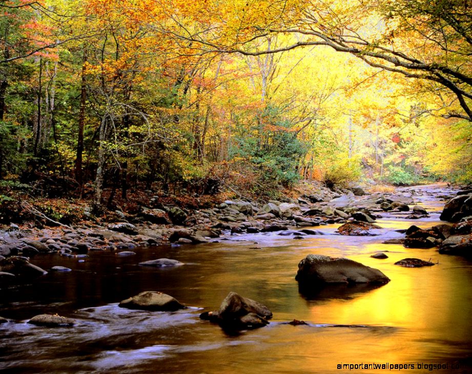 River HD Wallpapers Desktop Pictures One HD Wallpaper Pictures River HD Wallpapers Desktop Pictures One HD Wallpaper Pictures