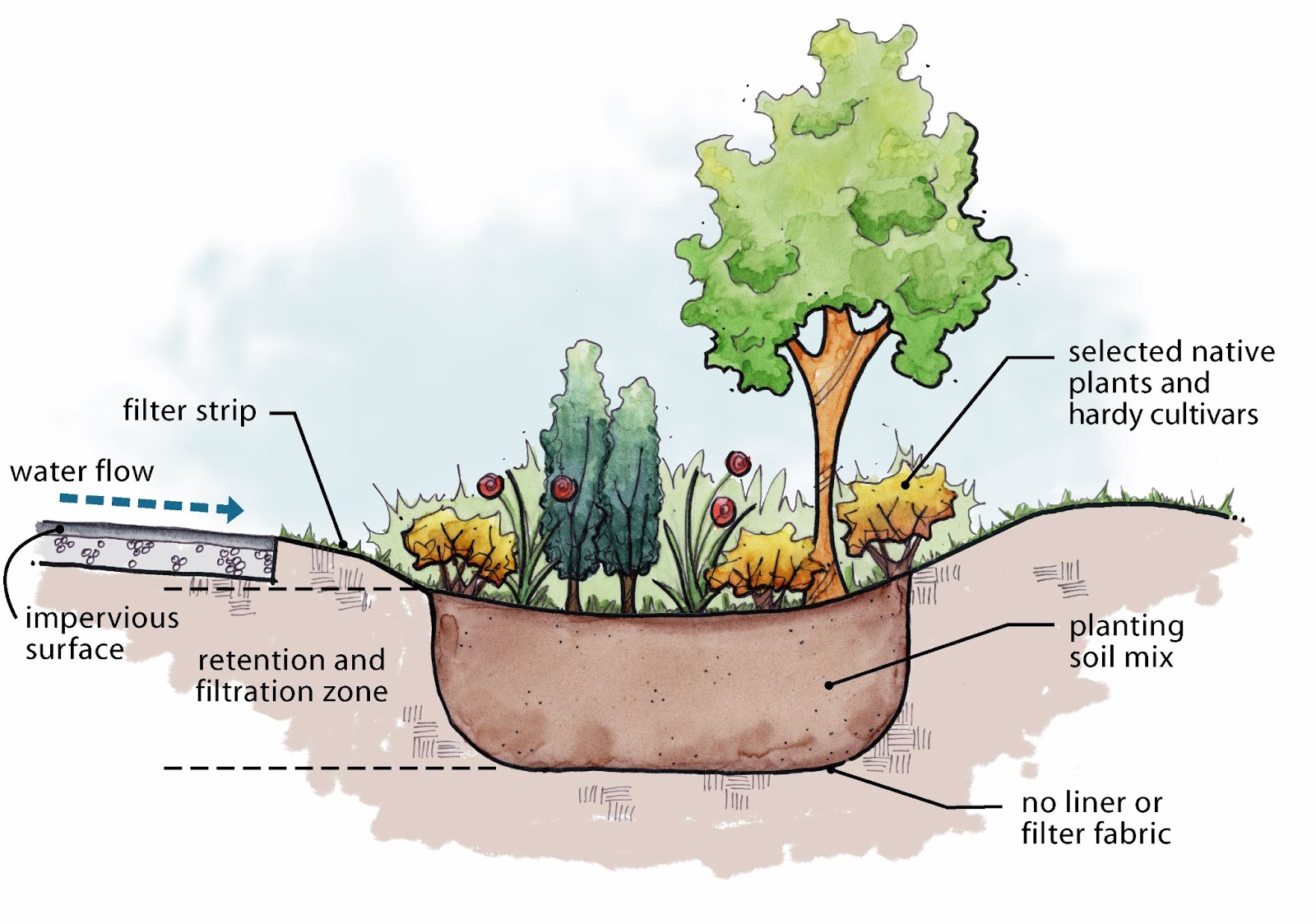 Permaculture Swale