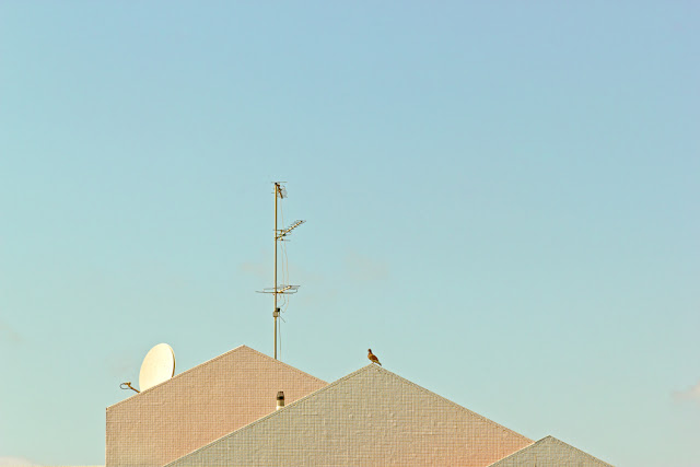 Untitled, taken in Tel Aviv by Miri Berlin Untitled, taken in Tel Aviv by Miri Berlin