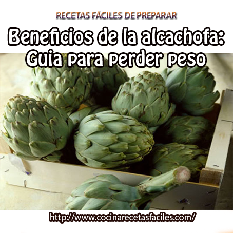 Beneficios de la alcachofa: Guía para perder peso alcachofa,agua