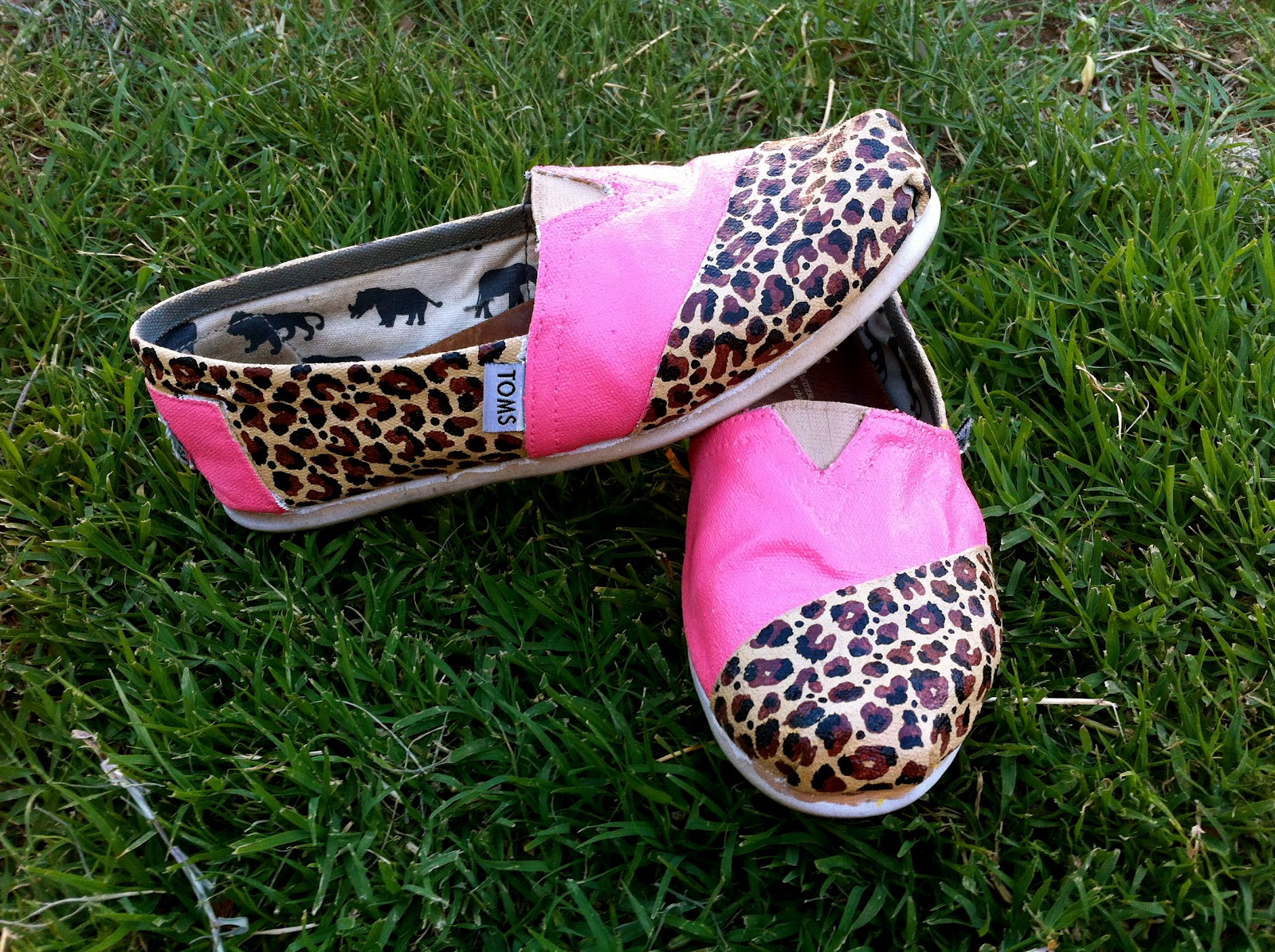 Cheetah Toms