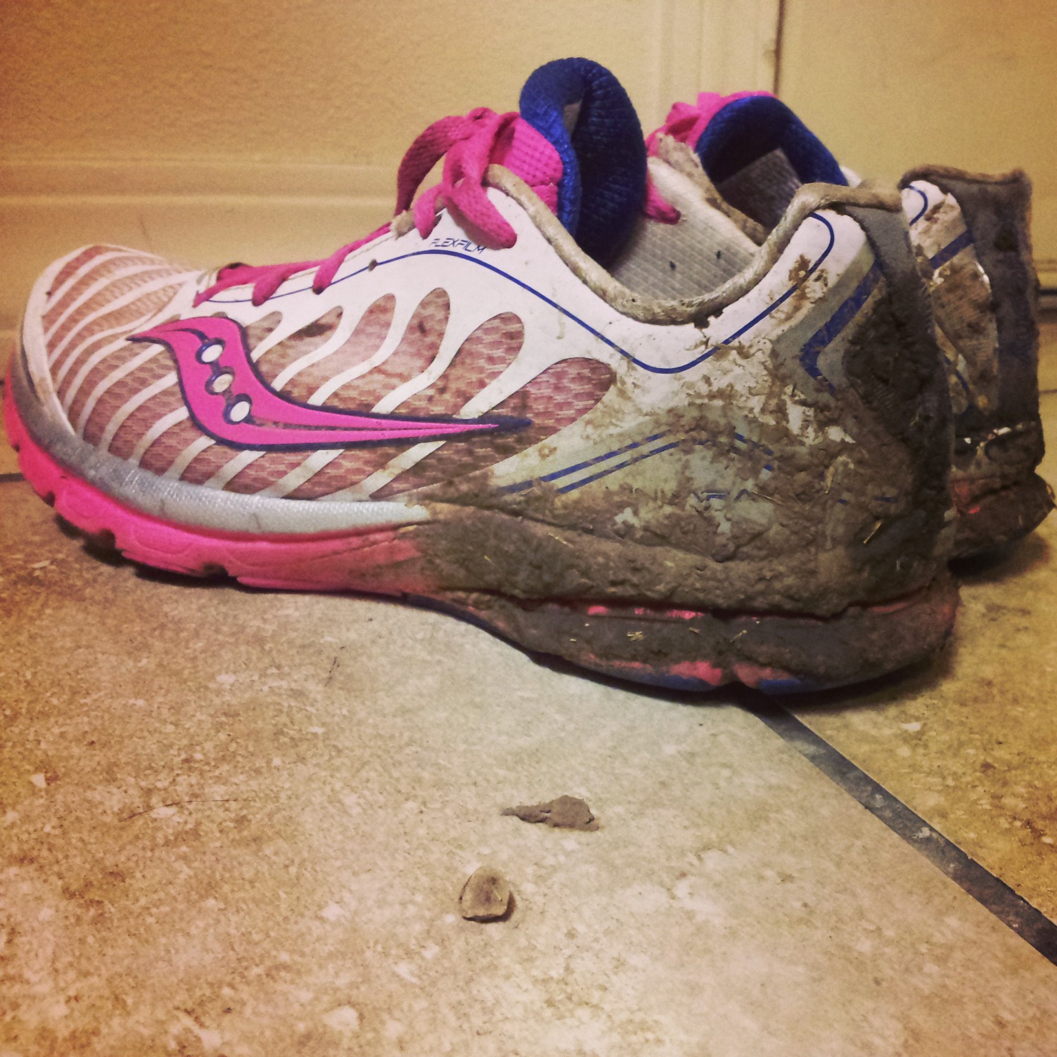 Muddy Running Shoes