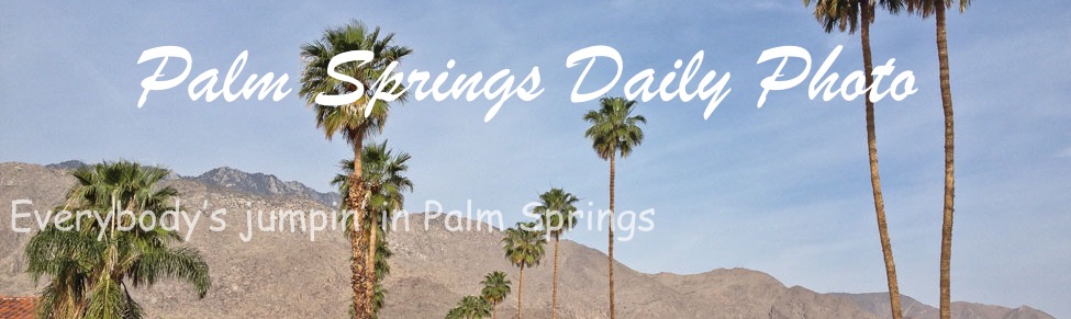 Palm Springs Daily Photo