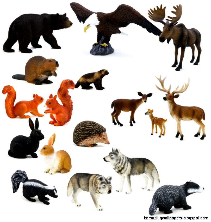 Forest Animals 19pc 23387MJ5   698 RMB  Obido Educational Forest Animals 19pc 23387MJ5   698 RMB  Obido Educational