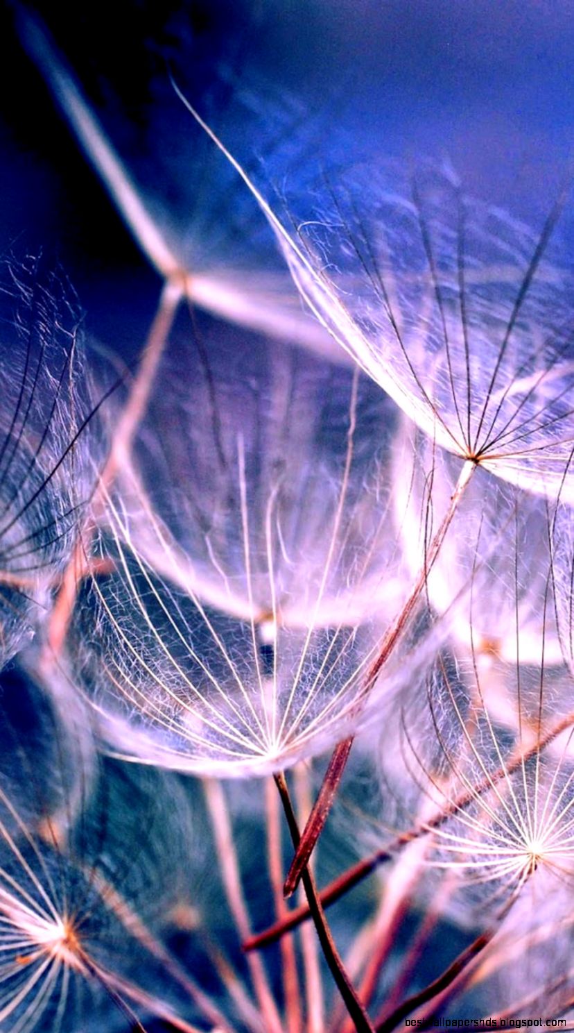 25 HD Retina Wallpaper Collection of iPhone 6 Plus HDpixels 25 HD Retina Wallpaper Collection of iPhone 6 Plus HDpixels
