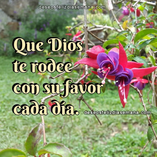 dios te bendiga en este dia sabado 63136 usbdata