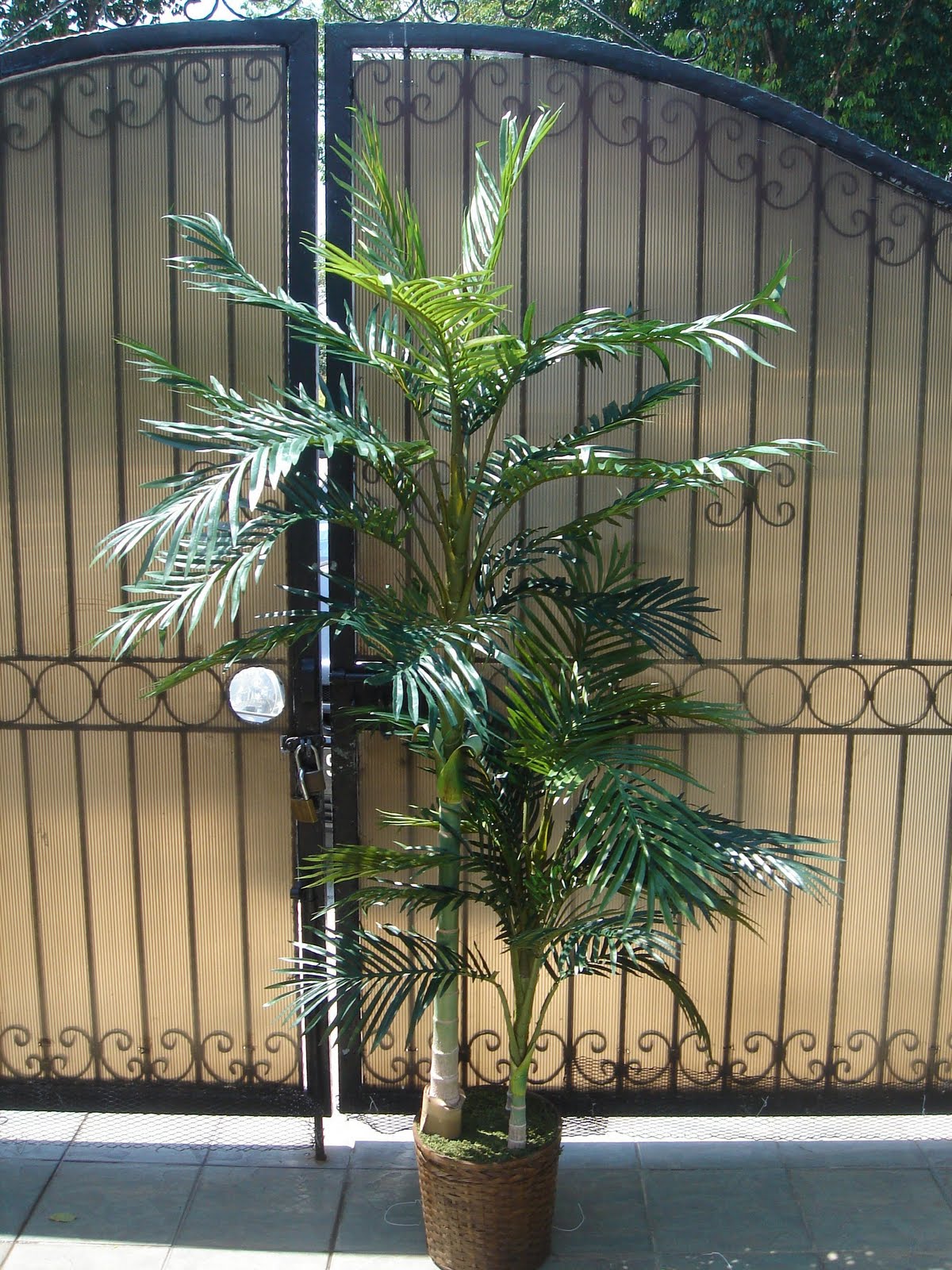 & U Evergreen Artificial Plants For Sale.