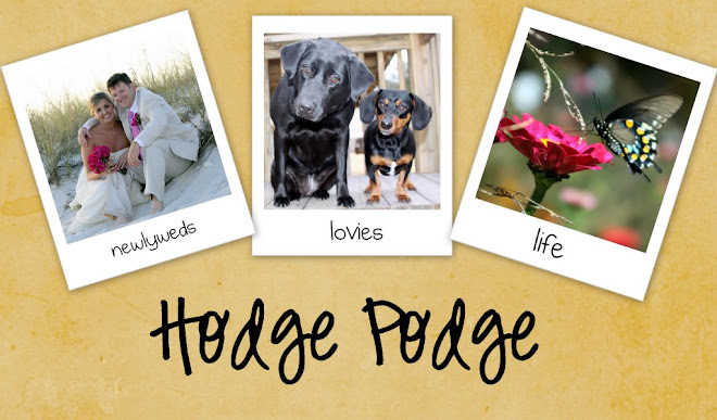 Hodge Podge