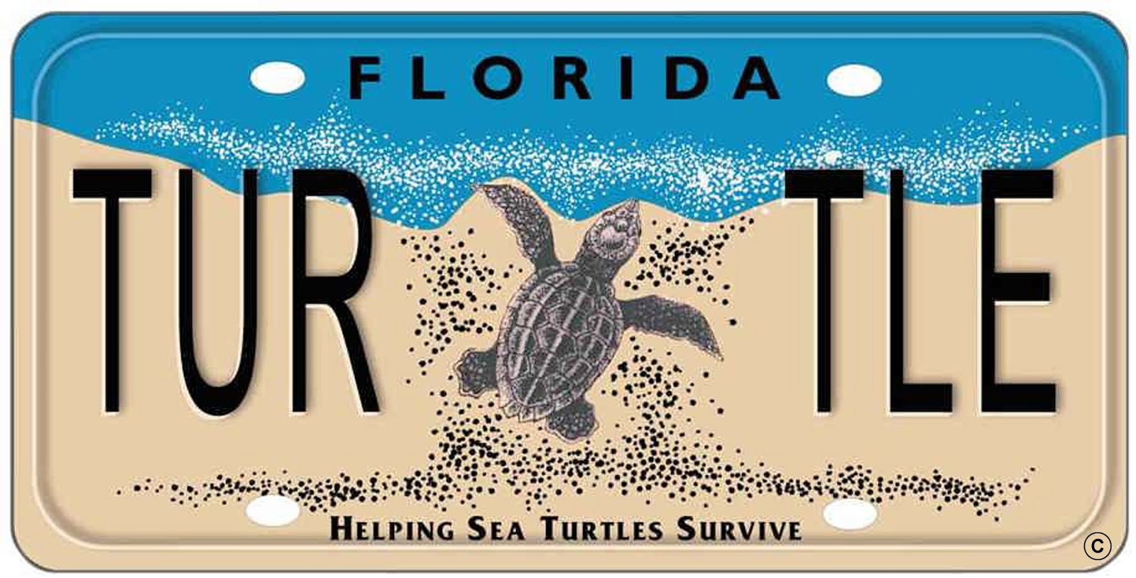 SCCF Sea Turtle Program Help Sea Turtles Every Time you Drive!