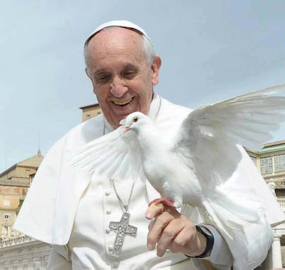 Papa Francisco: «Que se alce fuerte en la Tierra el grito de la paz»