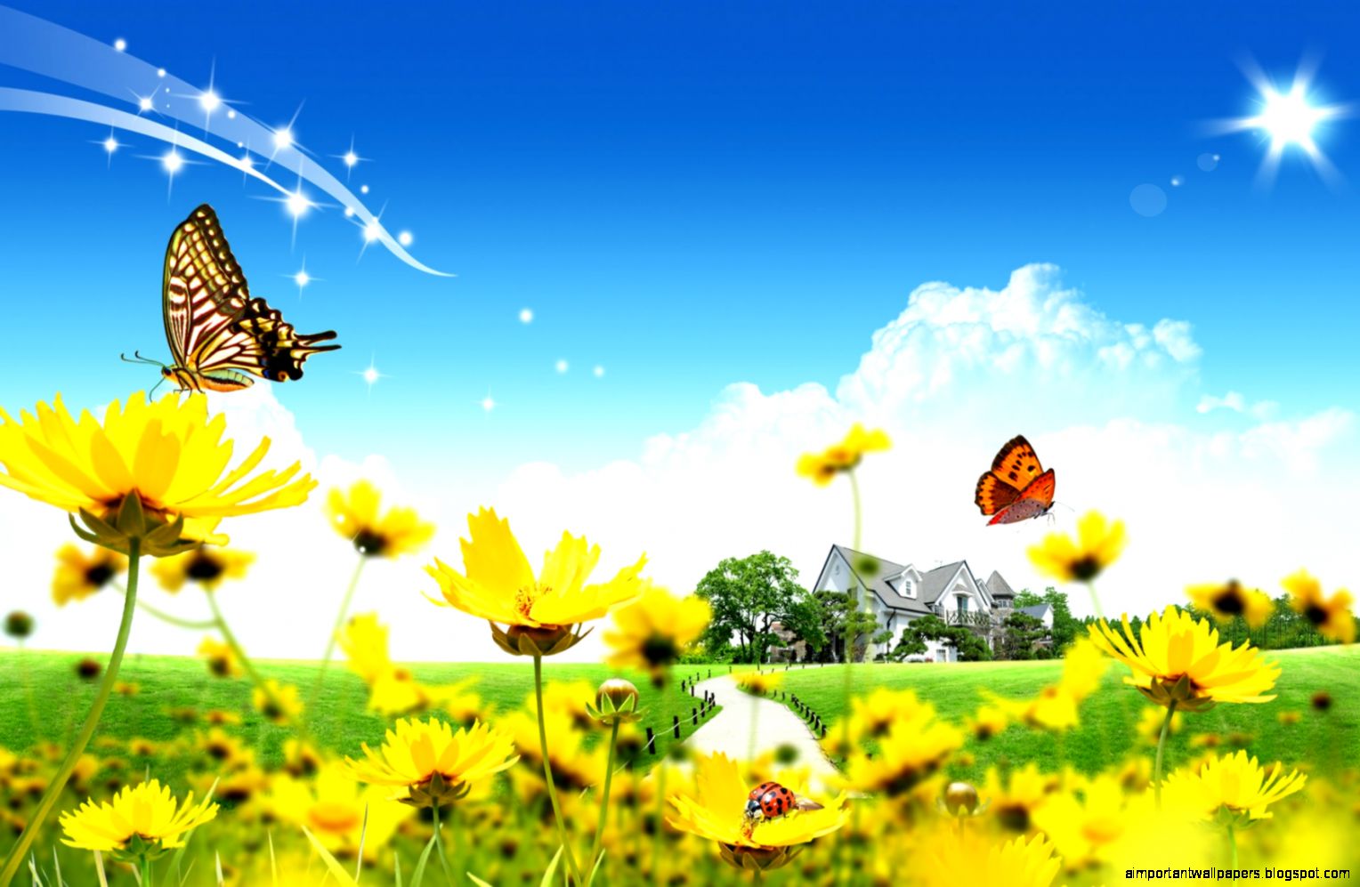 Beautiful Background Flower Image Wallpaper 8558 Wallpaper Beautiful Background Flower Image Wallpaper 8558 Wallpaper