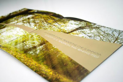 Company Profile Design Company Profile