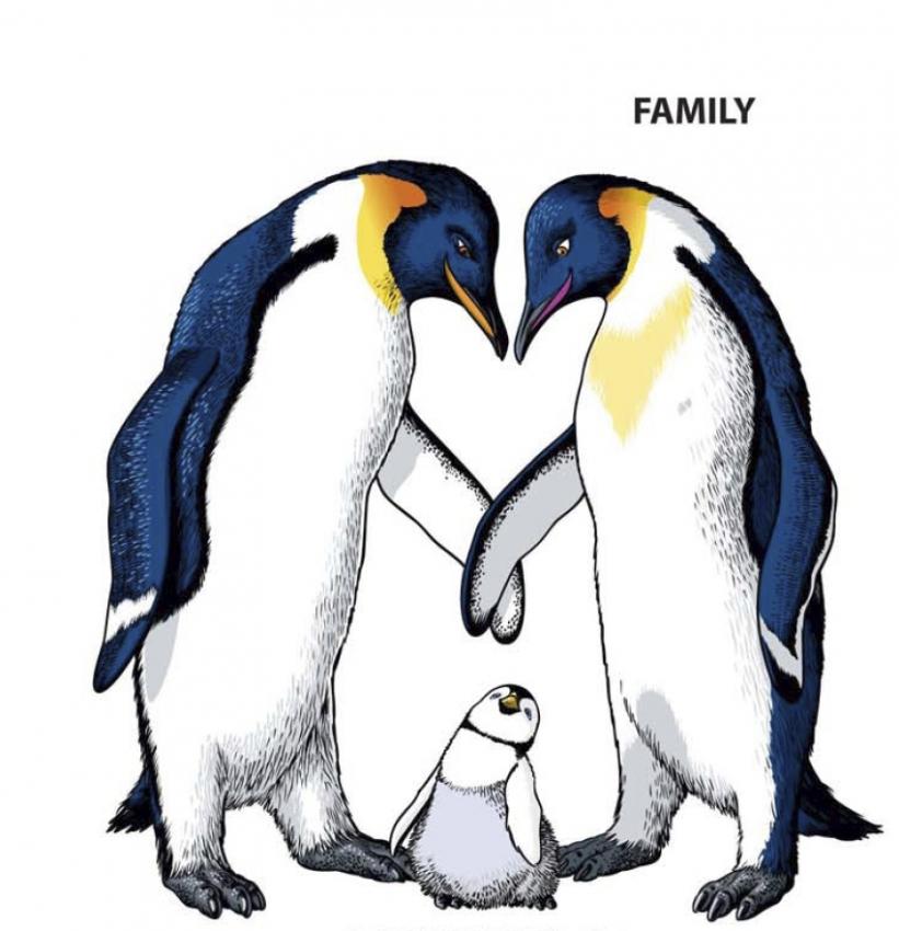 The Grumpy Penguin The Of Family The Grumpy Penguin The Of Family