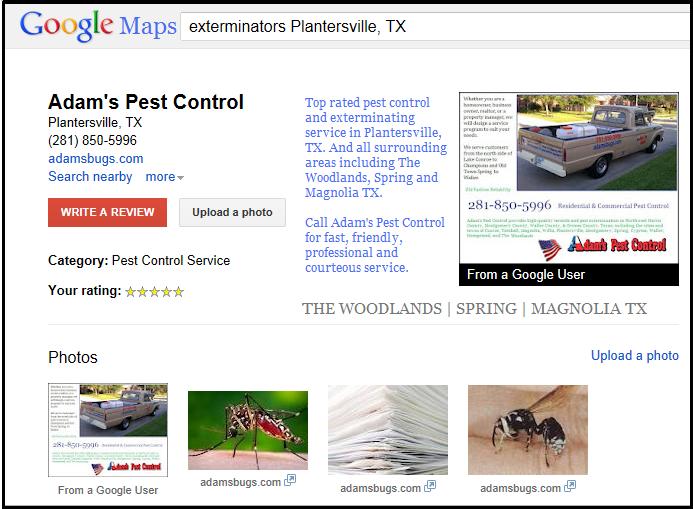 Pest Control Spring TX