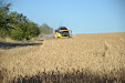 New Holland CX8060 Combine