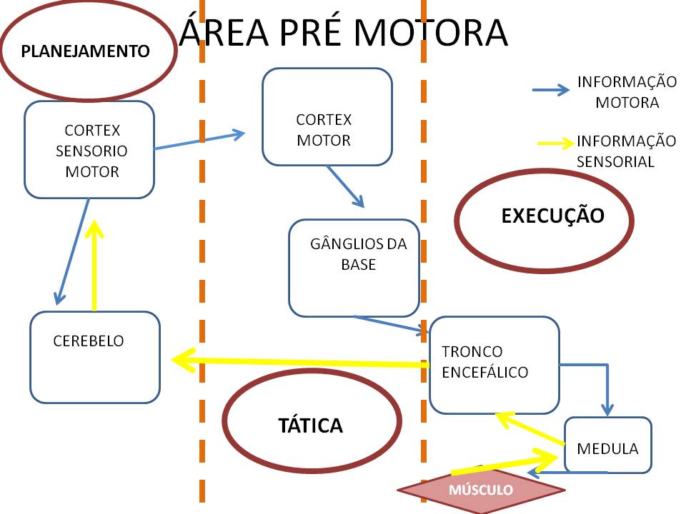 o que � sistema matchmaking